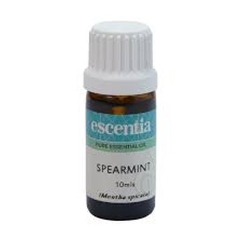 Spearmint