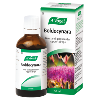 Boldocynara