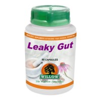 leaky-gut-product-339-58163